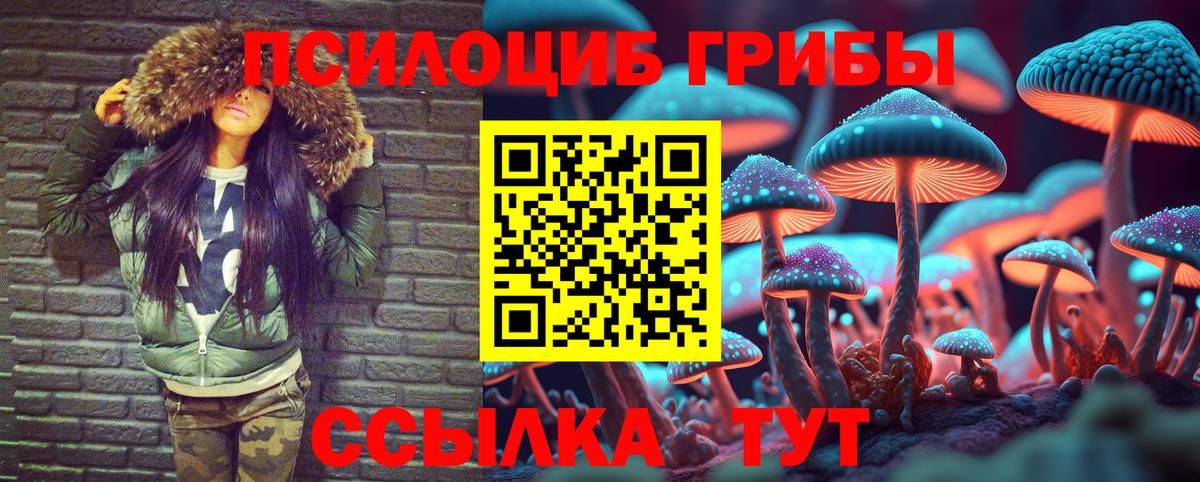 Псилоцибиновые грибы прущие грибы  купить  цена  Артём  Вход с VPN 