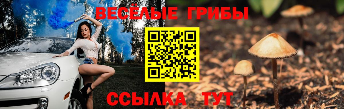 Галлюциногенные грибы прущие грибы  Артём  Галлюциногенные грибы MAGIC MUSHROOMS 